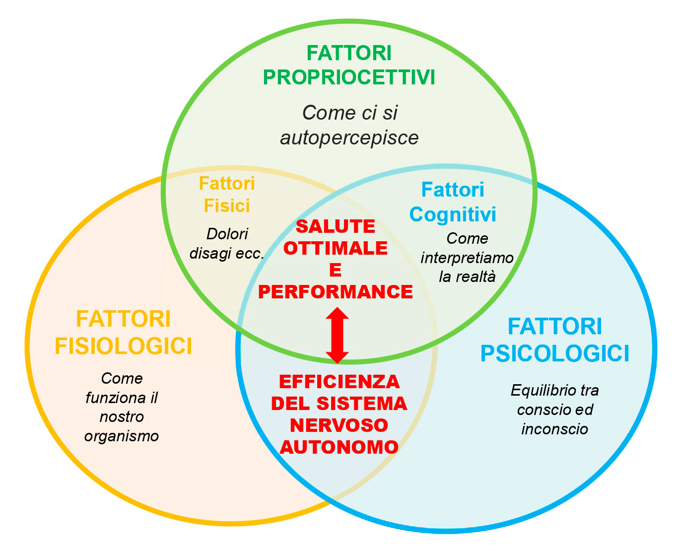 IMG-SALUTE-LA-VISIONE-SISTEMICA-INTEGRATA